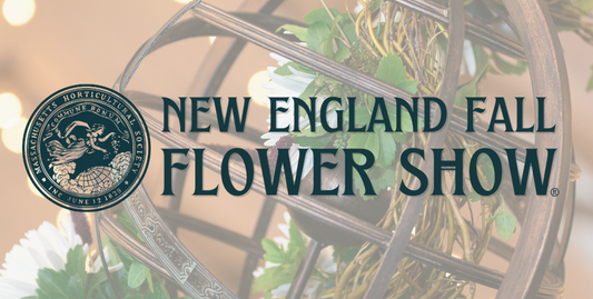 Visit Locanda Studio at the 2025 New England Flower Show